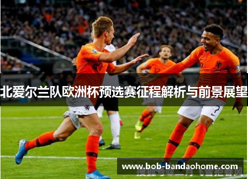 北爱尔兰队欧洲杯预选赛征程解析与前景展望