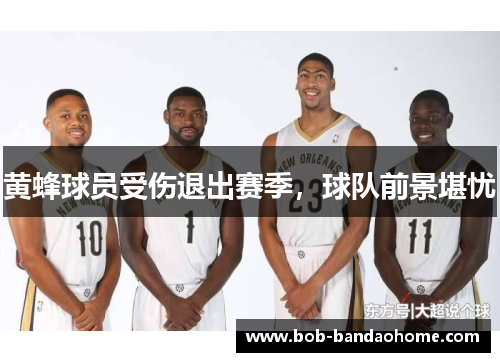 黄蜂球员受伤退出赛季，球队前景堪忧