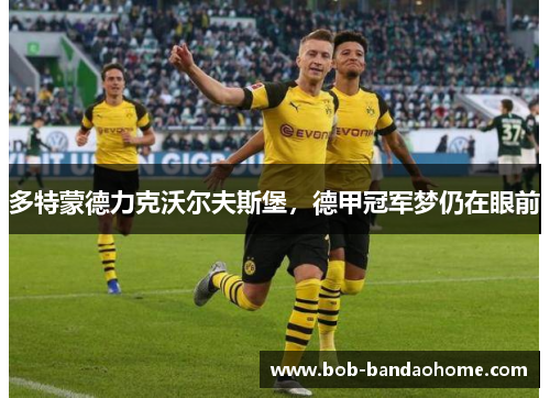 多特蒙德力克沃尔夫斯堡，德甲冠军梦仍在眼前