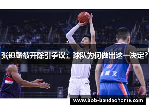 张镇麟被开除引争议：球队为何做出这一决定？
